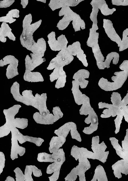 mk-leibliches-ornament