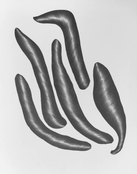 the-long-now-blaugelbe-zwettl-2021-1181x1500